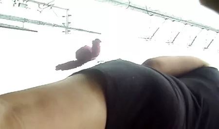 Sue liebt erotik filme online anschauen es zu ficken