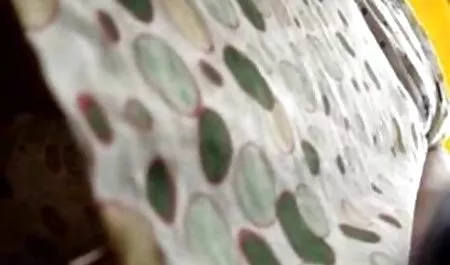 Scott Lexington alte deutsche erotik filme fickt einen riesigen Schwanz