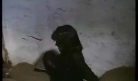 Enge Doppelpenetration mit freie deutsche erotikfilme einem Spielzeug